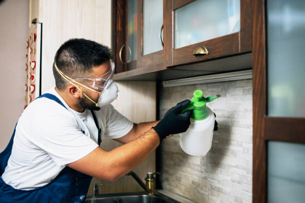 Best Local Pest Control Services  in Kingstown, MD