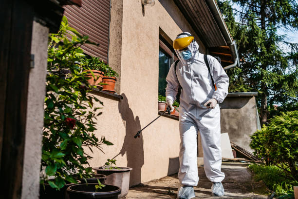 Best Best Pest Control Companies  in Kingstown, MD