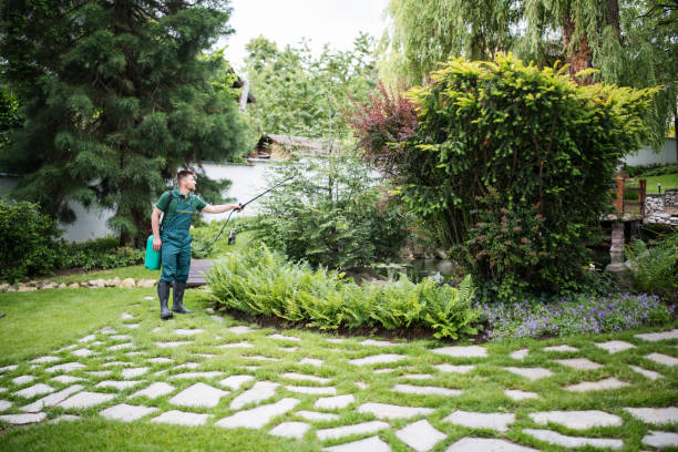 Best Pest Prevention Services  in Kingstown, MD